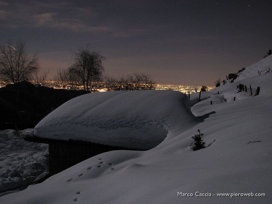 12_Riflessi di Luna sulla neve.JPG